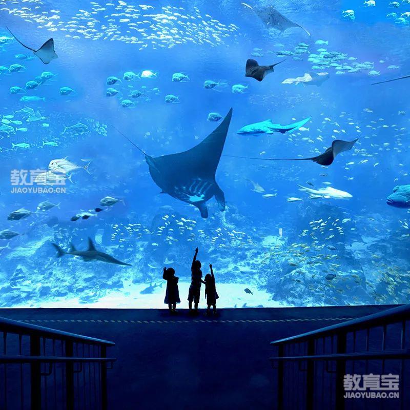 为什么<a href=