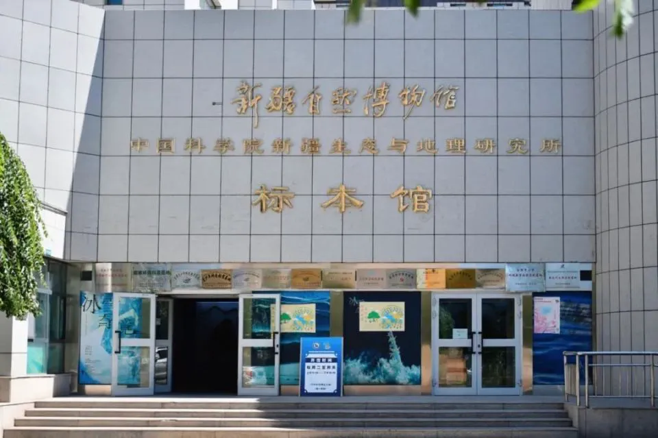 哪里可以找到关于篮球协调训练的教程？_0