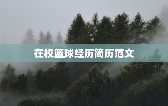 如何通过团队协作策略提升整体篮球水平_1